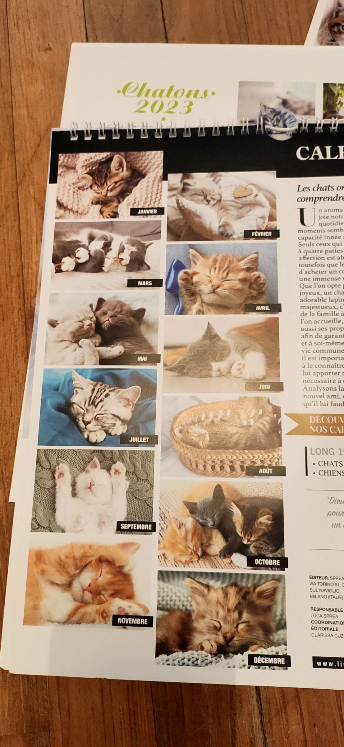 Set kattenkalenders – photo 5